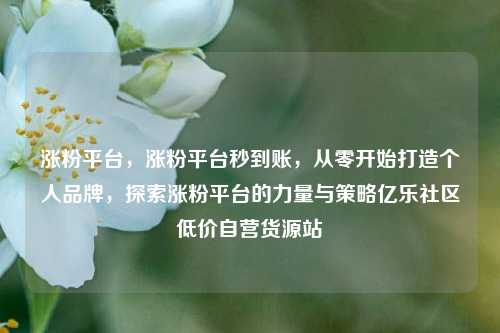 涨粉平台，涨粉平台秒到账，从零开始打造个人品牌	，探索涨粉平台的力量与策略亿乐社区低价自营货源站  第1张