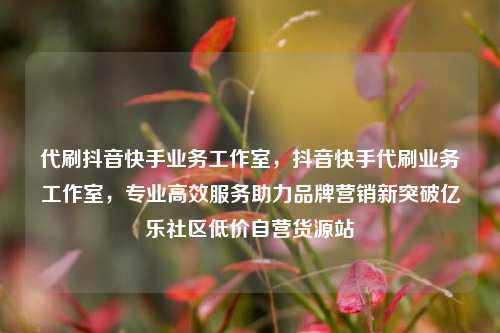 代刷抖音快手业务工作室	，抖音快手代刷业务工作室，专业高效服务助力品牌营销新突破亿乐社区低价自营货源站  第1张