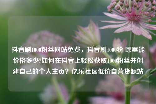 抖音刷1000粉丝网站免费，抖音刷1000粉 哪里能价格多少?如何在抖音上轻松获取1000粉丝并创建自己的个人主页？亿乐社区低价自营货源站  第1张