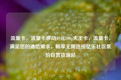 流量卡，流量卡移动19元200g大王卡，流量卡	，满足您的通信需求，畅享无限连接亿乐社区低价自营货源站  第1张