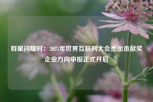 群星闪耀时：2025年世界互联网大会杰出贡献奖企业方向申报正式开启  第1张
