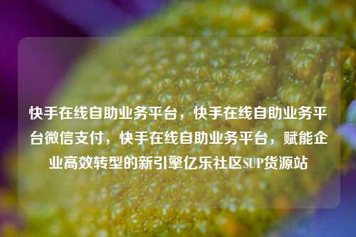 快手在线自助业务平台，快手在线自助业务平台微信支付，快手在线自助业务平台	，赋能企业高效转型的新引擎亿乐社区SUP货源站  第1张