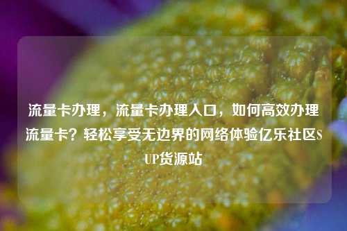 流量卡办理，流量卡办理入口	，如何高效办理流量卡？轻松享受无边界的网络体验亿乐社区SUP货源站  第1张