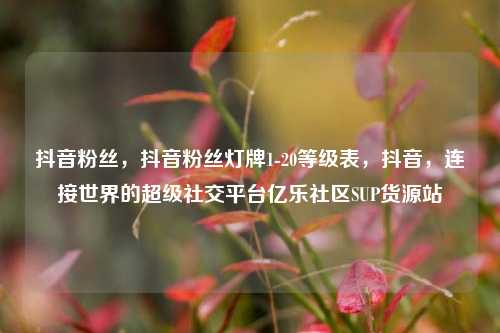 抖音粉丝，抖音粉丝灯牌1-20等级表	，抖音，连接世界的超级社交平台亿乐社区SUP货源站  第1张