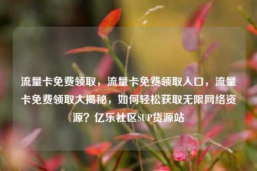 流量卡免费领取，流量卡免费领取入口	，流量卡免费领取大揭秘，如何轻松获取无限网络资源？亿乐社区SUP货源站  第1张
