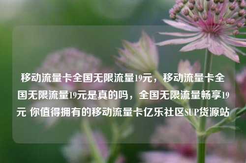 移动流量卡全国无限流量19元，移动流量卡全国无限流量19元是真的吗	，全国无限流量畅享19元 你值得拥有的移动流量卡亿乐社区SUP货源站  第1张