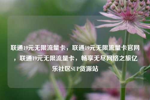 联通19元无限流量卡，联通19元无限流量卡官网	，联通19元无限流量卡，畅享无尽网络之旅亿乐社区SUP货源站  第1张