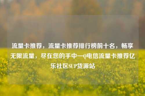 流量卡推荐，流量卡推荐排行榜前十名	，畅享无限流量，尽在您的手中—Q电信流量卡推荐亿乐社区SUP货源站  第1张