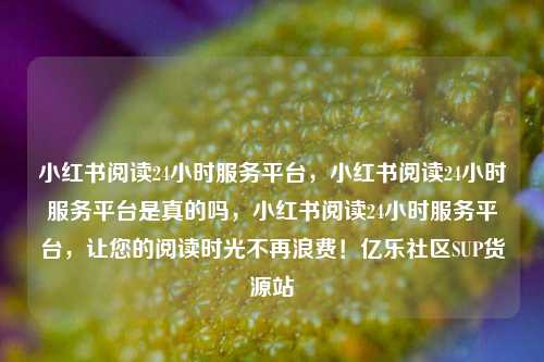 小红书阅读24小时服务平台	，小红书阅读24小时服务平台是真的吗，小红书阅读24小时服务平台，让您的阅读时光不再浪费！亿乐社区SUP货源站  第1张