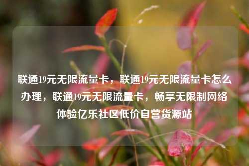 联通19元无限流量卡，联通19元无限流量卡怎么办理	，联通19元无限流量卡，畅享无限制网络体验亿乐社区低价自营货源站  第1张
