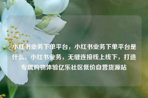 小红书业务下单平台，小红书业务下单平台是什么	，小红书业务，无缝连接线上线下，打造专属购物体验亿乐社区低价自营货源站  第1张