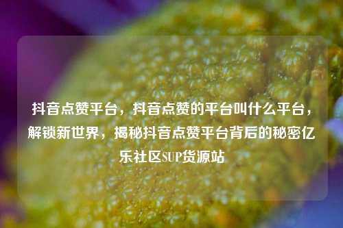 抖音点赞平台，抖音点赞的平台叫什么平台	，解锁新世界，揭秘抖音点赞平台背后的秘密亿乐社区SUP货源站  第1张