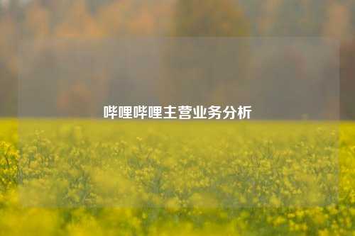 哔哩哔哩主营业务分析  第1张
