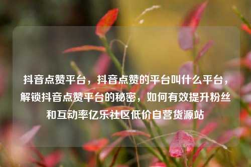 抖音点赞平台，抖音点赞的平台叫什么平台	，解锁抖音点赞平台的秘密，如何有效提升粉丝和互动率亿乐社区低价自营货源站  第1张