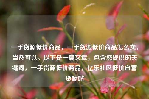 一手货源低价商品，一手货源低价商品怎么卖	，当然可以	。以下是一篇文章，包含您提供的关键词，一手货源低价商品	，亿乐社区低价自营货源站  第1张