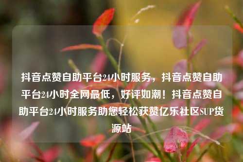 抖音点赞自助平台24小时服务，抖音点赞自助平台24小时全网最低	，好评如潮！抖音点赞自助平台24小时服务助您轻松获赞亿乐社区SUP货源站  第1张