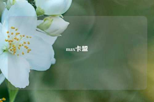 max卡盟  第1张