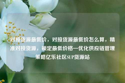 对接货源最低价，对接货源最低价怎么算，精准对接货源	，锁定最低价格—优化供应链管理策略亿乐社区SUP货源站  第1张