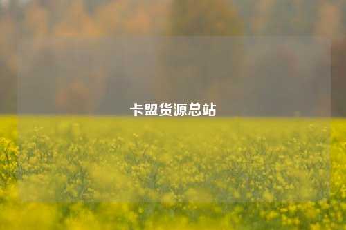 卡盟货源总站  第1张