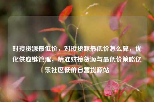 对接货源最低价	，对接货源最低价怎么算，优化供应链管理，精准对接货源与最低价策略亿乐社区低价自营货源站  第1张