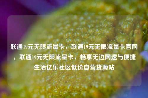 联通19元无限流量卡	，联通19元无限流量卡官网，联通19元无限流量卡，畅享无边网速与便捷生活亿乐社区低价自营货源站  第1张