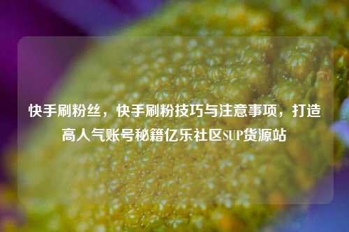 快手刷粉丝	，快手刷粉技巧与注意事项，打造高人气账号秘籍亿乐社区SUP货源站  第1张
