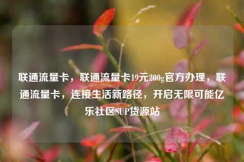 联通流量卡，联通流量卡19元200g官方办理	，联通流量卡，连接生活新路径，开启无限可能亿乐社区SUP货源站  第1张