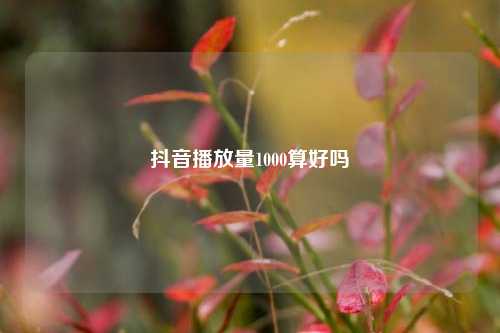 抖音播放量1000算好吗  第1张