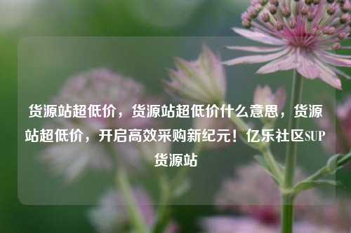 货源站超低价，货源站超低价什么意思	，货源站超低价，开启高效采购新纪元！亿乐社区SUP货源站  第1张
