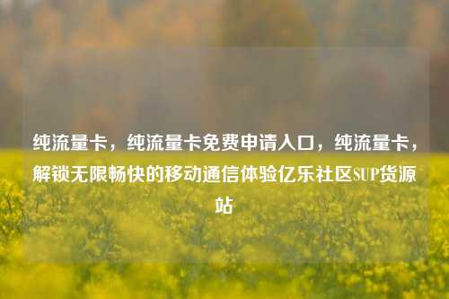 纯流量卡，纯流量卡免费申请入口	，纯流量卡，解锁无限畅快的移动通信体验亿乐社区SUP货源站  第1张