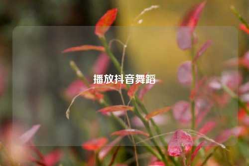 播放抖音舞蹈  第1张