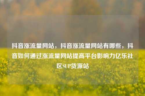 抖音涨流量网站，抖音涨流量网站有哪些	，抖音如何通过涨流量网站提高平台影响力亿乐社区SUP货源站  第1张