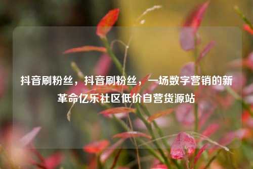 抖音刷粉丝，抖音刷粉丝，一场数字营销的新革命亿乐社区低价自营货源站  第1张