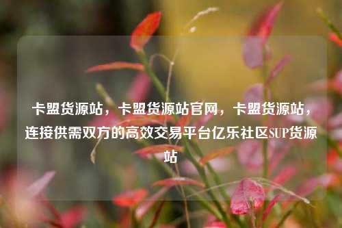 卡盟货源站，卡盟货源站官网	，卡盟货源站，连接供需双方的高效交易平台亿乐社区SUP货源站  第1张