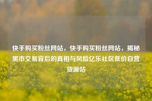 快手购买粉丝网站	，快手购买粉丝网站，揭秘黑市交易背后的真相与风险亿乐社区低价自营货源站  第1张