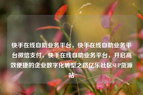 快手在线自助业务平台，快手在线自助业务平台微信支付，快手在线自助业务平台	，开启高效便捷的企业数字化转型之路亿乐社区SUP货源站  第1张