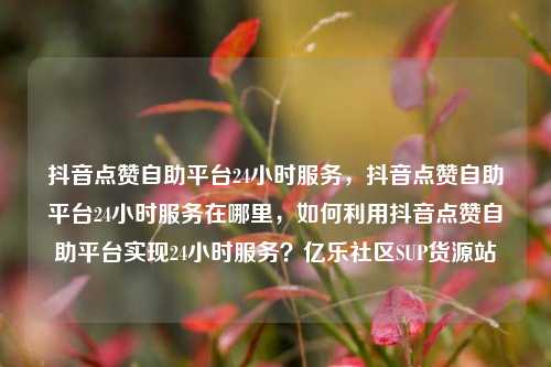 抖音点赞自助平台24小时服务，抖音点赞自助平台24小时服务在哪里	，如何利用抖音点赞自助平台实现24小时服务？亿乐社区SUP货源站  第1张