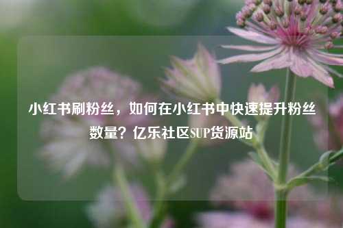 小红书刷粉丝，如何在小红书中快速提升粉丝数量？亿乐社区SUP货源站  第1张