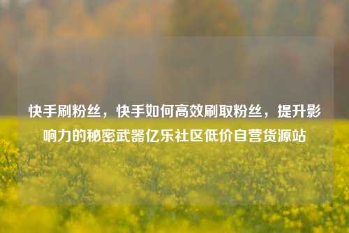 快手刷粉丝，快手如何高效刷取粉丝，提升影响力的秘密武器亿乐社区低价自营货源站  第1张