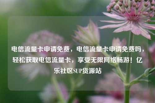 电信流量卡申请免费	，电信流量卡申请免费吗，轻松获取电信流量卡，享受无限网络畅游！亿乐社区SUP货源站  第1张