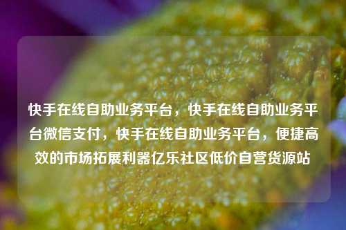 快手在线自助业务平台，快手在线自助业务平台微信支付，快手在线自助业务平台，便捷高效的市场拓展利器亿乐社区低价自营货源站  第1张