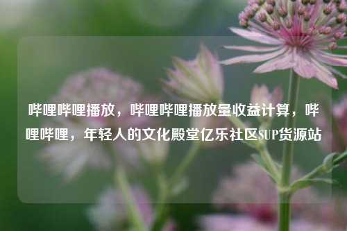 哔哩哔哩播放，哔哩哔哩播放量收益计算	，哔哩哔哩，年轻人的文化殿堂亿乐社区SUP货源站  第1张