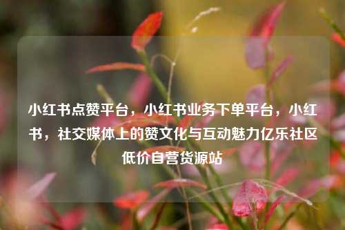 小红书点赞平台，小红书业务下单平台，小红书	，社交媒体上的赞文化与互动魅力亿乐社区低价自营货源站  第1张