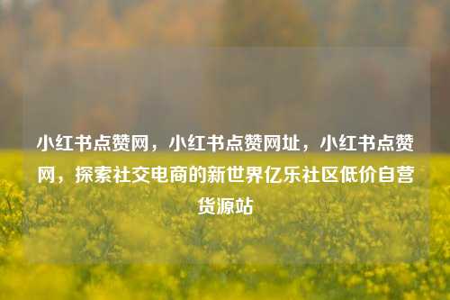 小红书点赞网，小红书点赞网址，小红书点赞网，探索社交电商的新世界亿乐社区低价自营货源站  第1张