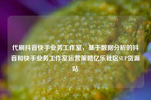 代刷抖音快手业务工作室，基于数据分析的抖音和快手业务工作室运营策略亿乐社区SUP货源站  第1张