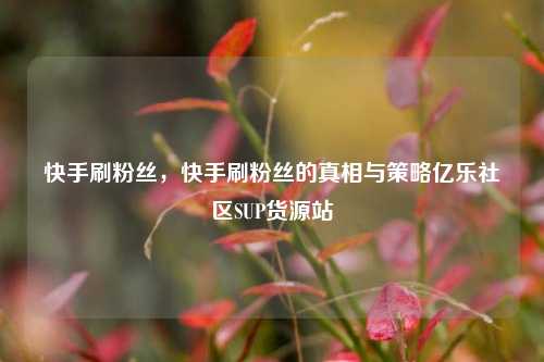 快手刷粉丝，快手刷粉丝的真相与策略亿乐社区SUP货源站  第1张