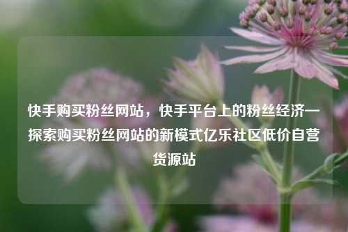 快手购买粉丝网站，快手平台上的粉丝经济—探索购买粉丝网站的新模式亿乐社区低价自营货源站  第1张
