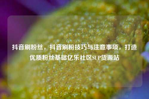 抖音刷粉丝，抖音刷粉技巧与注意事项，打造优质粉丝基础亿乐社区SUP货源站  第1张