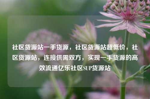 社区货源站一手货源，社区货源站超低价	，社区货源站，连接供需双方，实现一手货源的高效流通亿乐社区SUP货源站  第1张