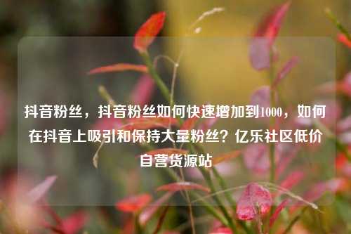 抖音粉丝	，抖音粉丝如何快速增加到1000，如何在抖音上吸引和保持大量粉丝？亿乐社区低价自营货源站  第1张